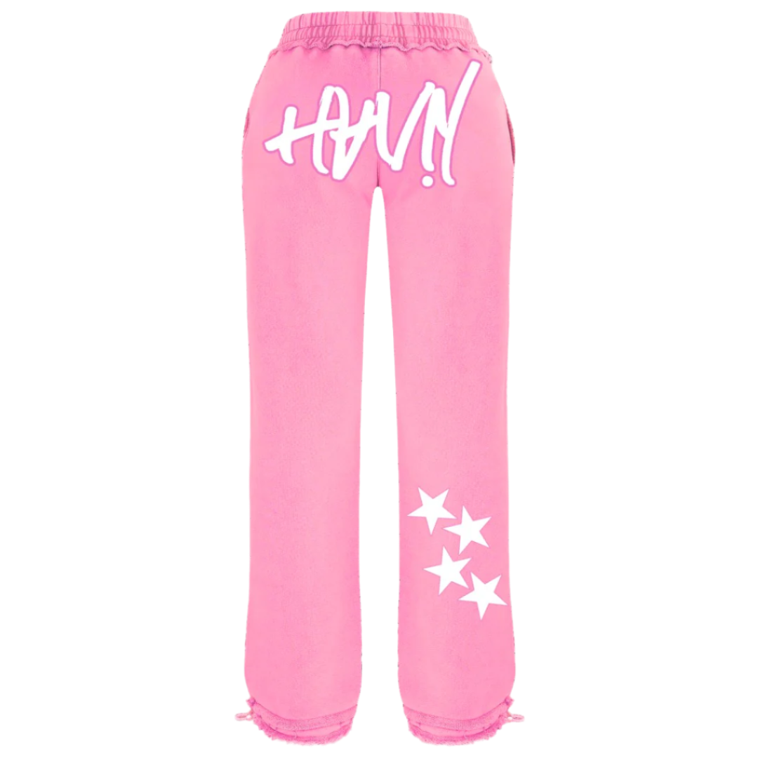 Two Piece HAVN Sweatsuit
