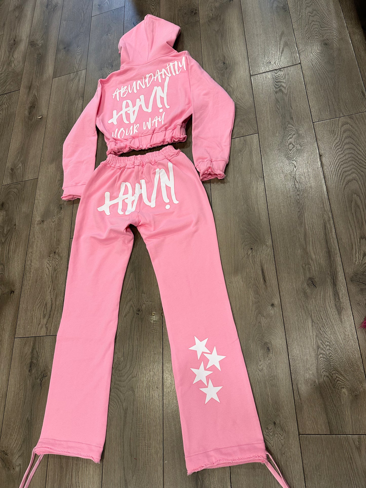 Two Piece HAVN Sweatsuit